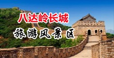 尤物视频网站站长工具中国北京-八达岭长城旅游风景区