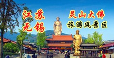 亚洲操大逼江苏无锡灵山大佛旅游风景区